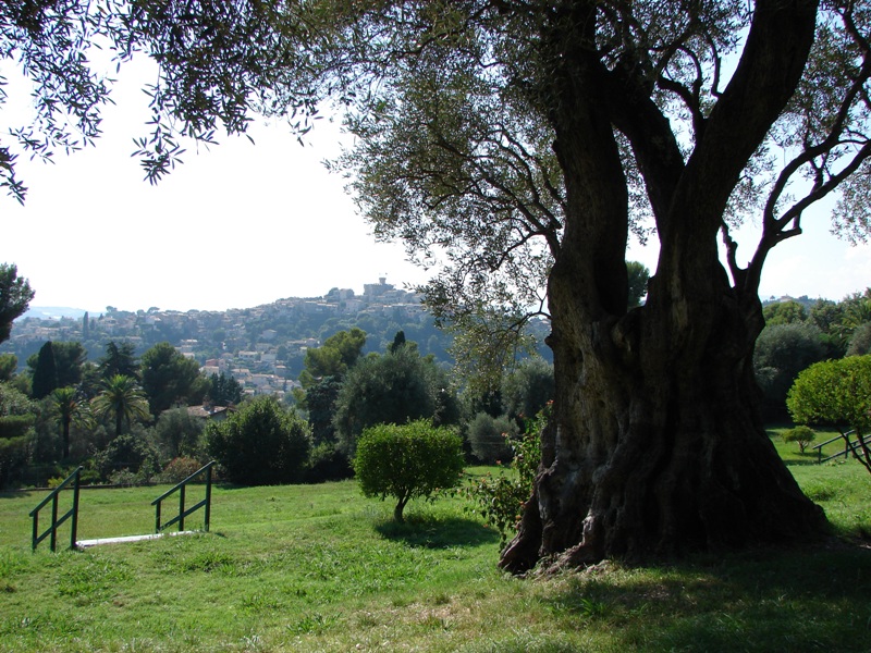 Renoir Museum – Cagnes sur Mer