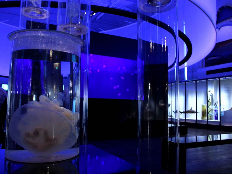 Oceanographic Museum – Monte-Carlo