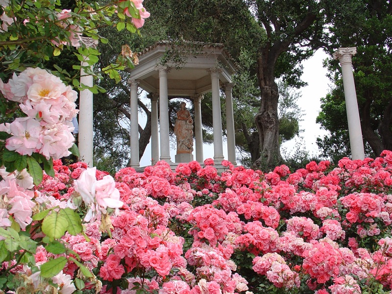 Fete des Roses et des Plantes